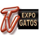 TV Expo Gatos