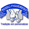 roseli figueiredo